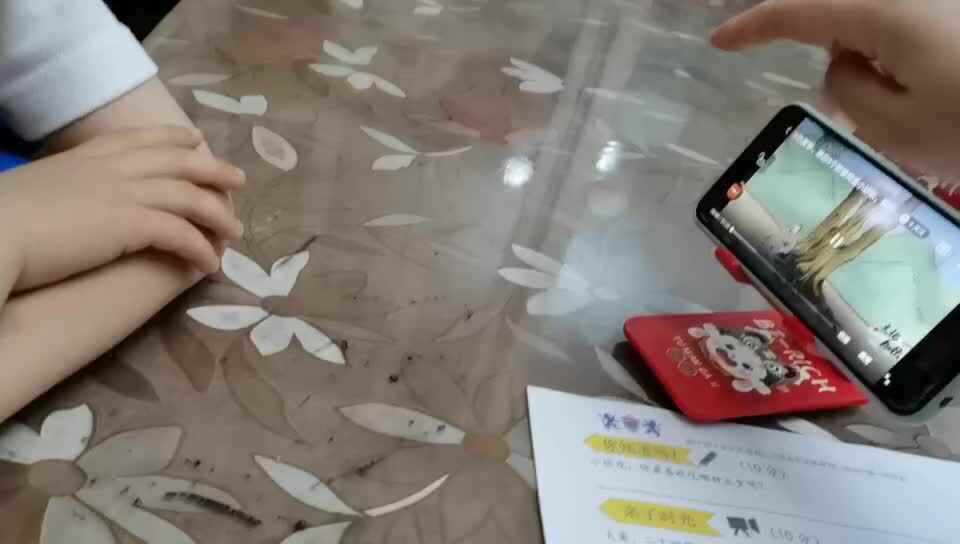 中B班7月20张芷萱学习夏季消暑方式.mp4
