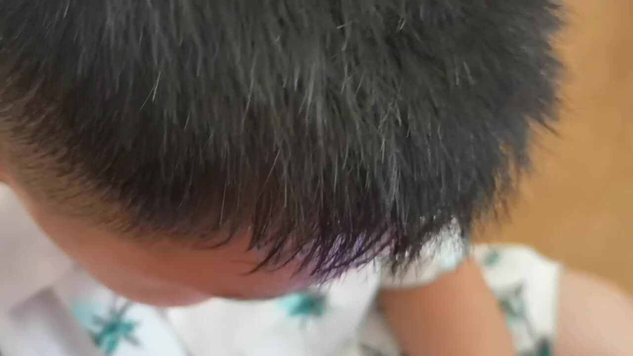 mmexport1723620600198.mp4