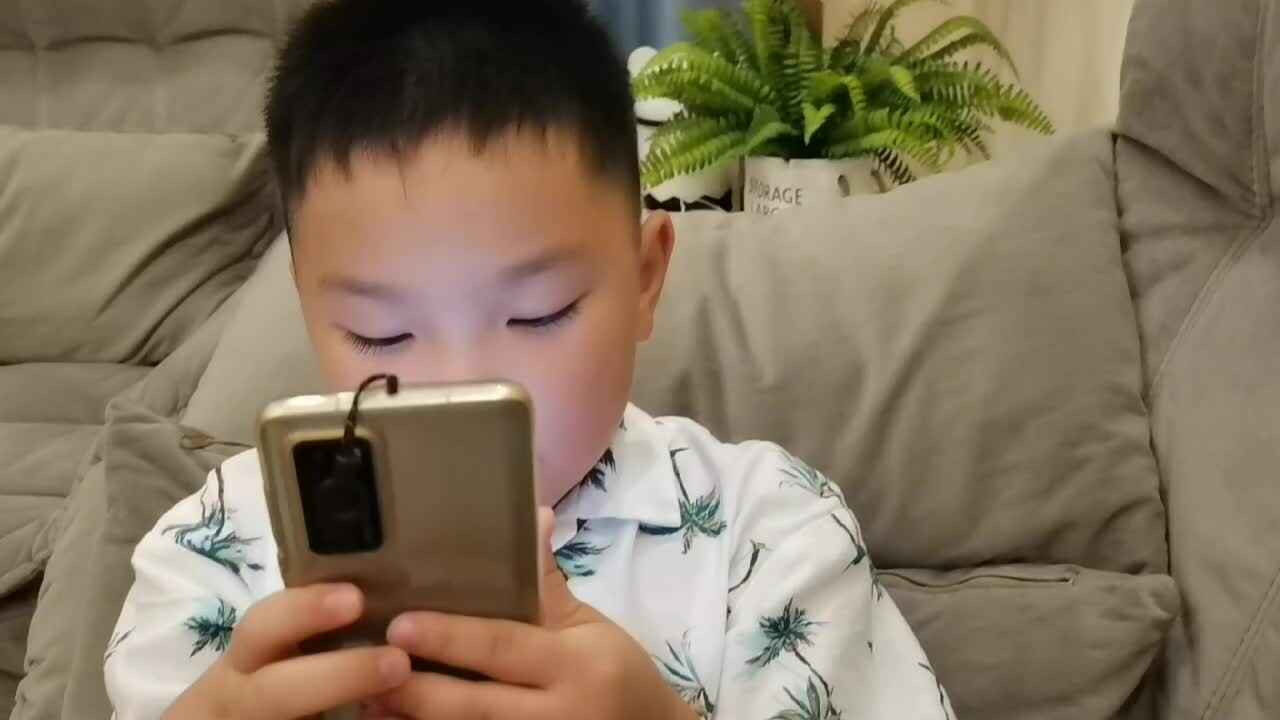 mmexport1723620611167.mp4