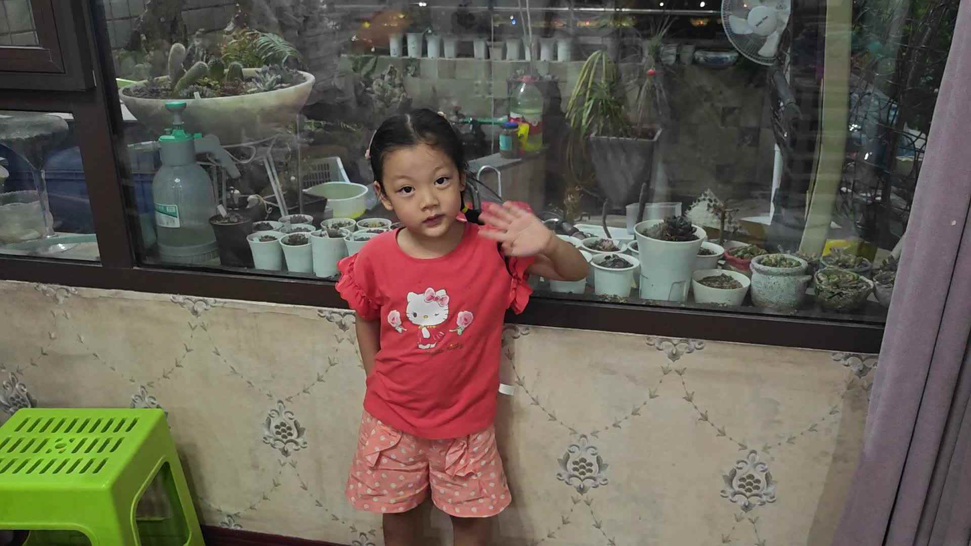 VID_20240919_212442.mp4