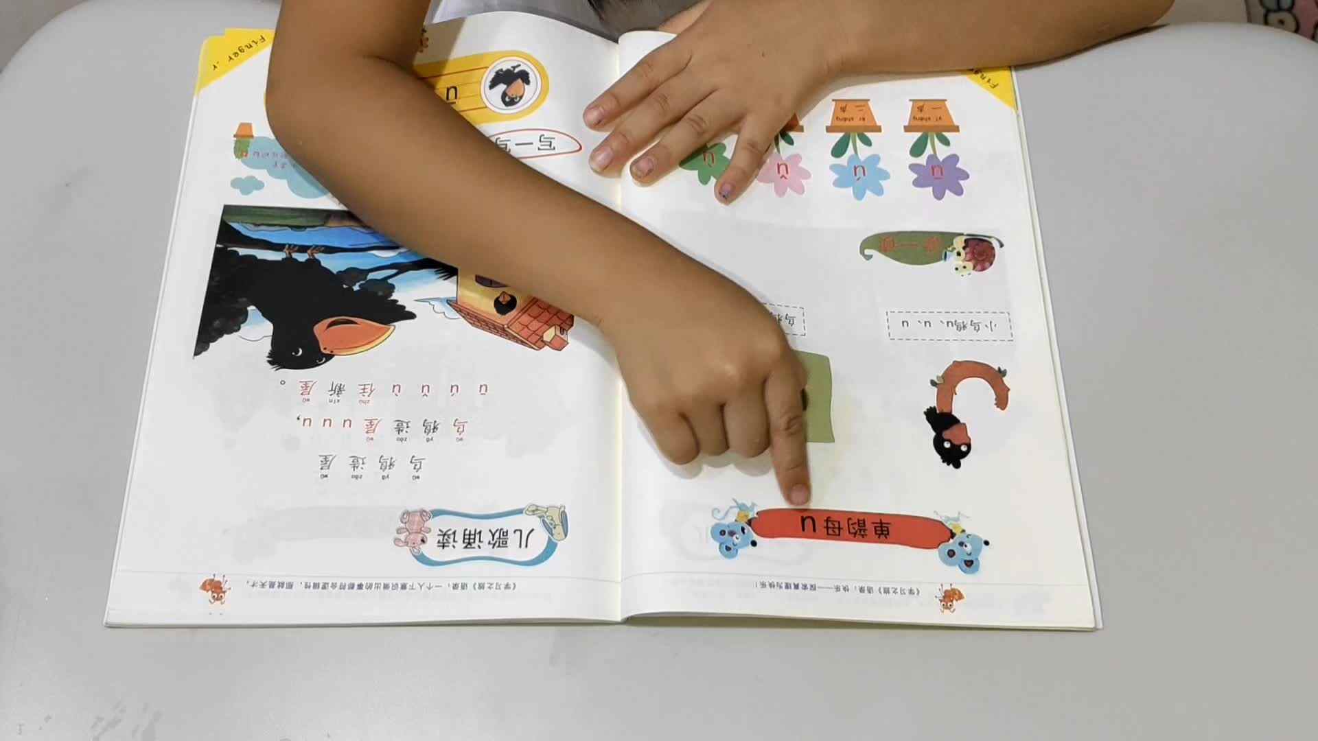 video_20240929_184311_edit.mp4