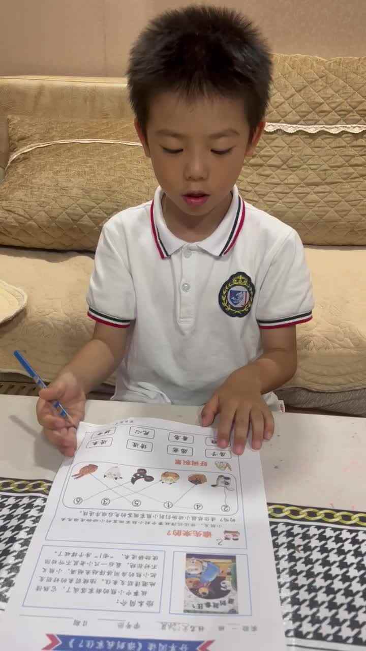 实验学前1班文浚棵2024.9.27