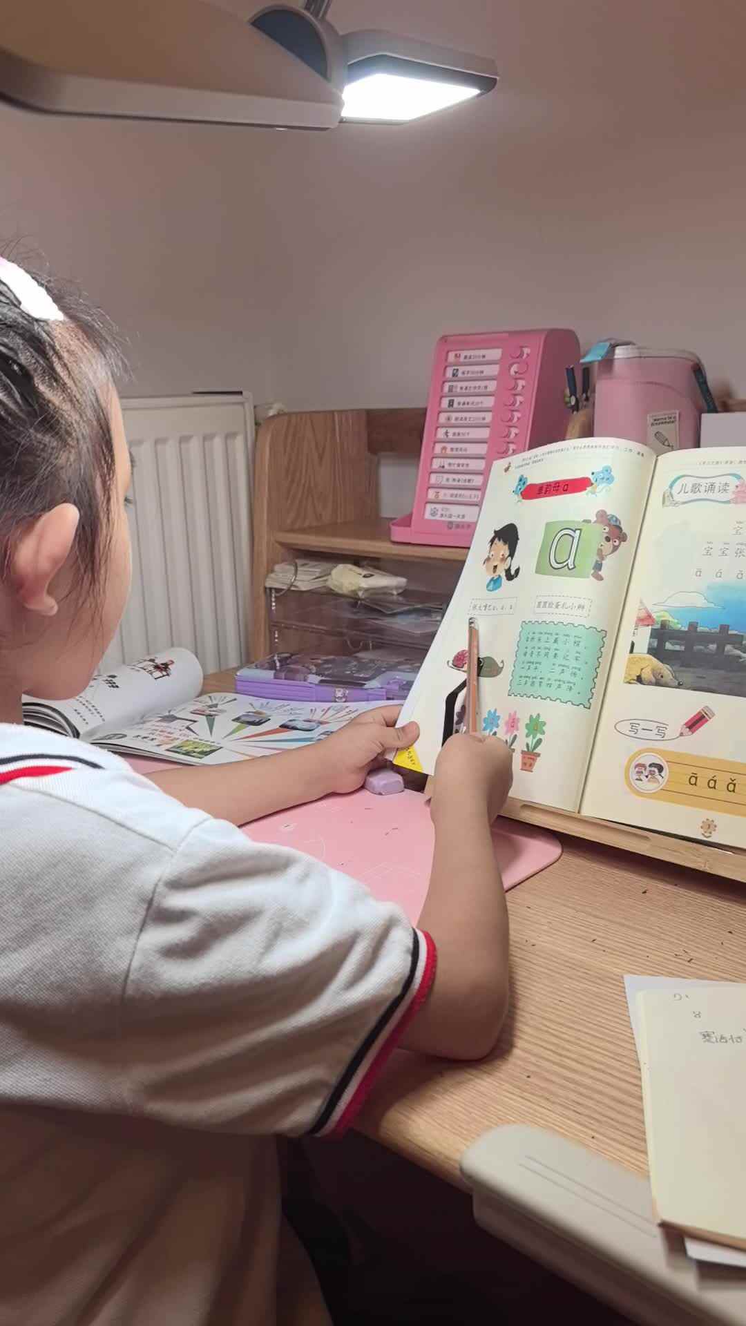 VID_20240923_201608.mp4