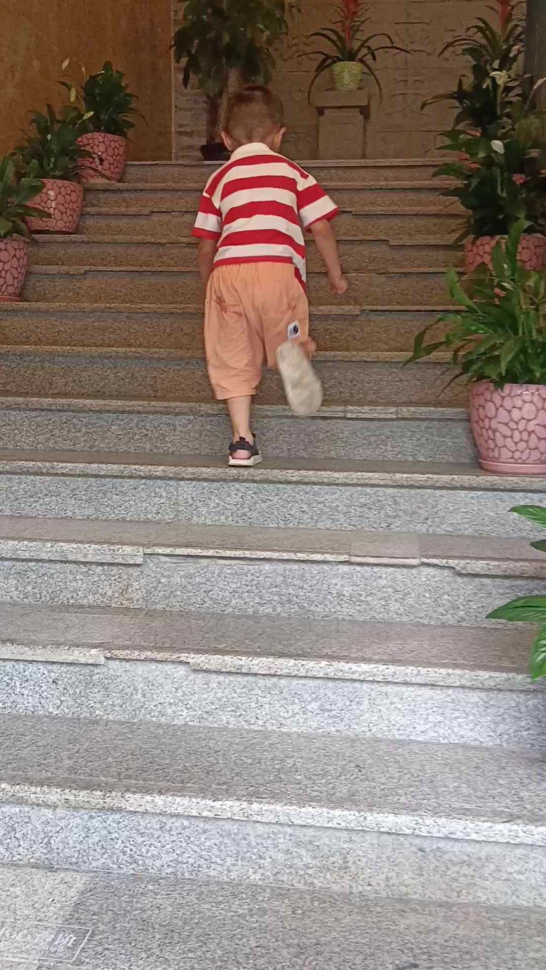 video_20240921_103923.mp4