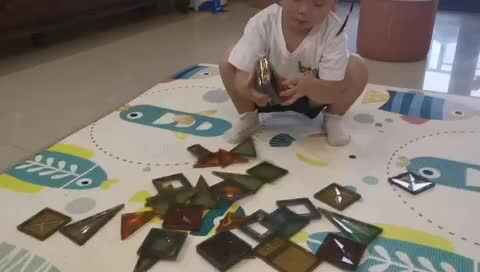 分类整理