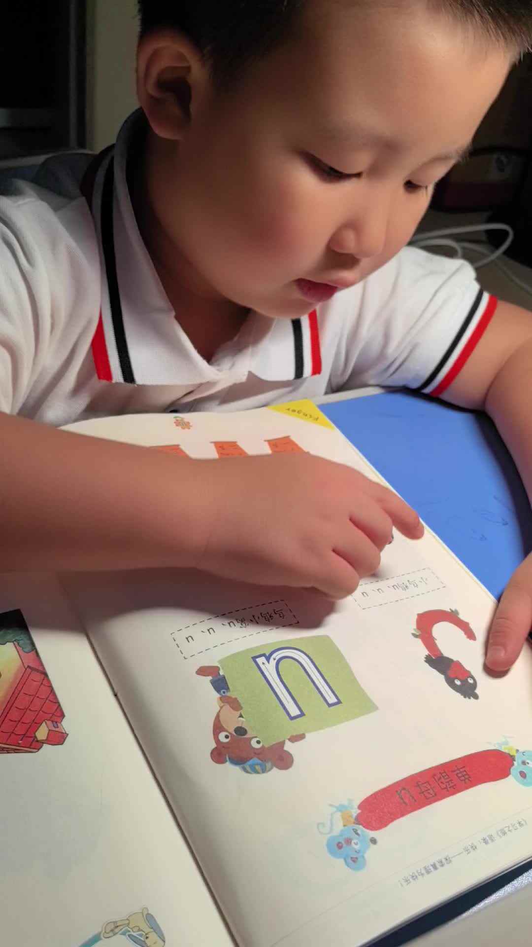 VID_20240929_201030.mp4