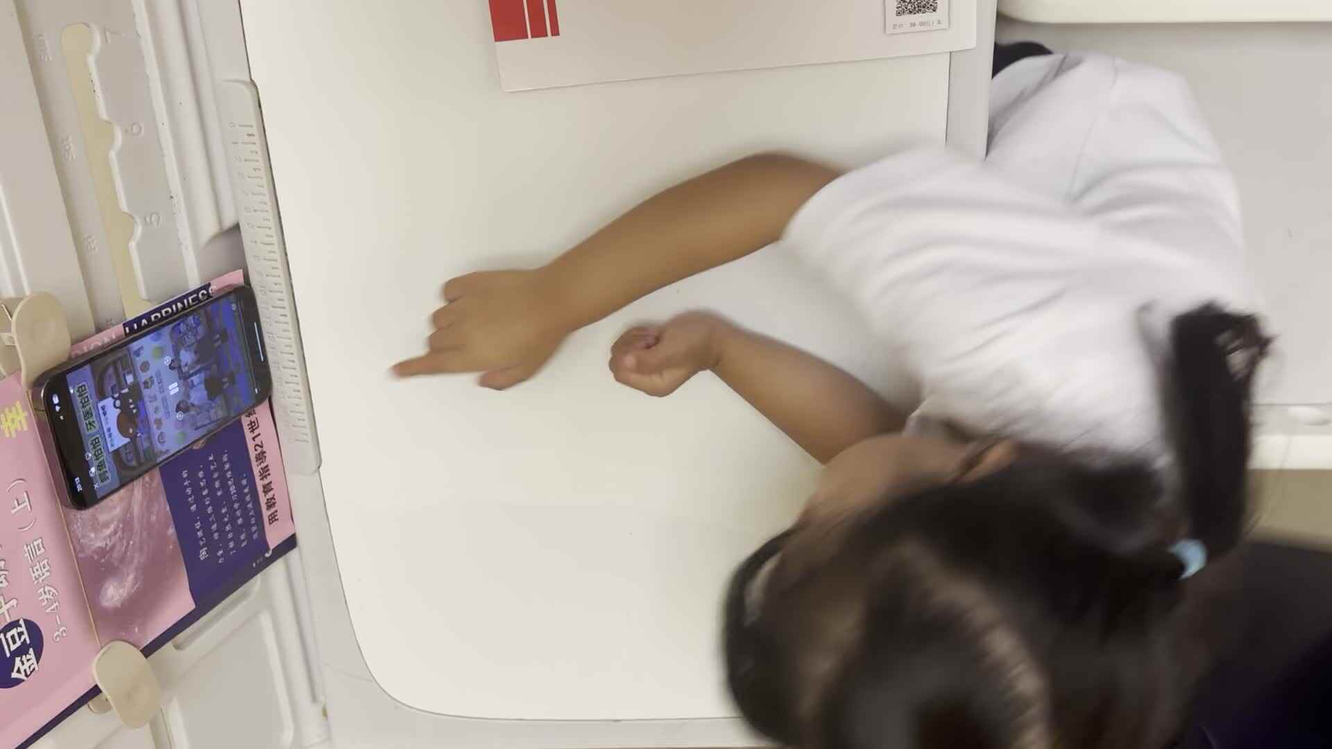 鳄鱼怕怕