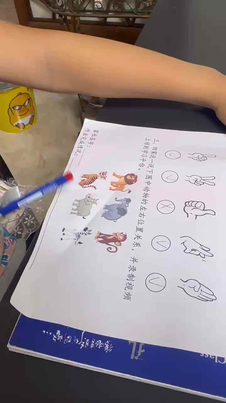 mmexport1727269302407.mp4