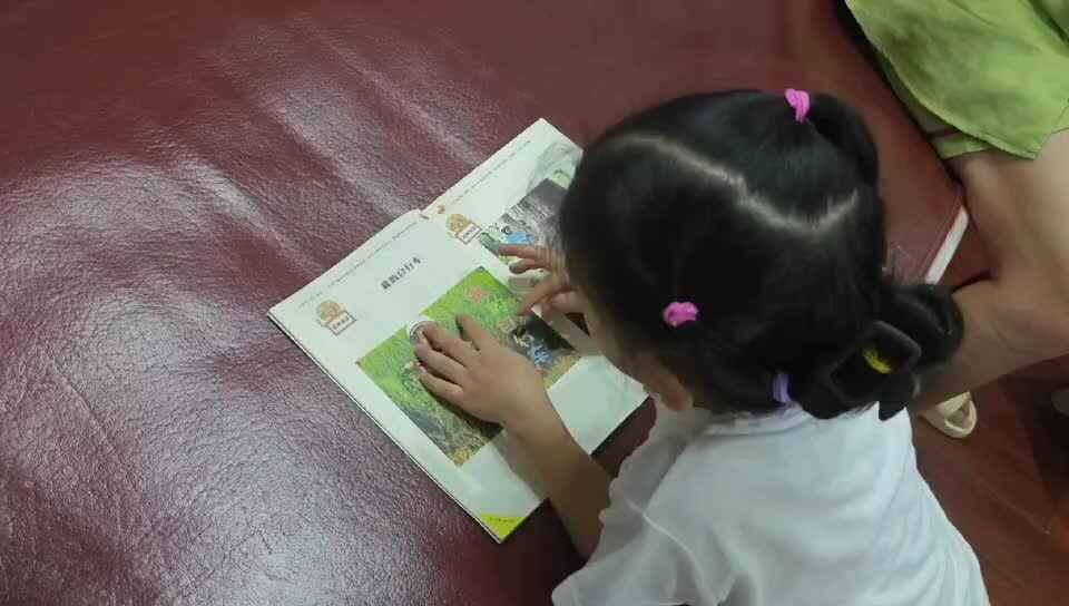 mmexport1727388547351.mp4