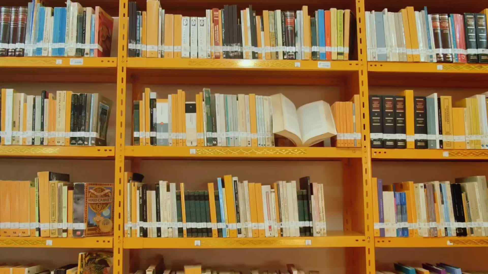 语言是通往世界的钥匙，更是生活的艺术