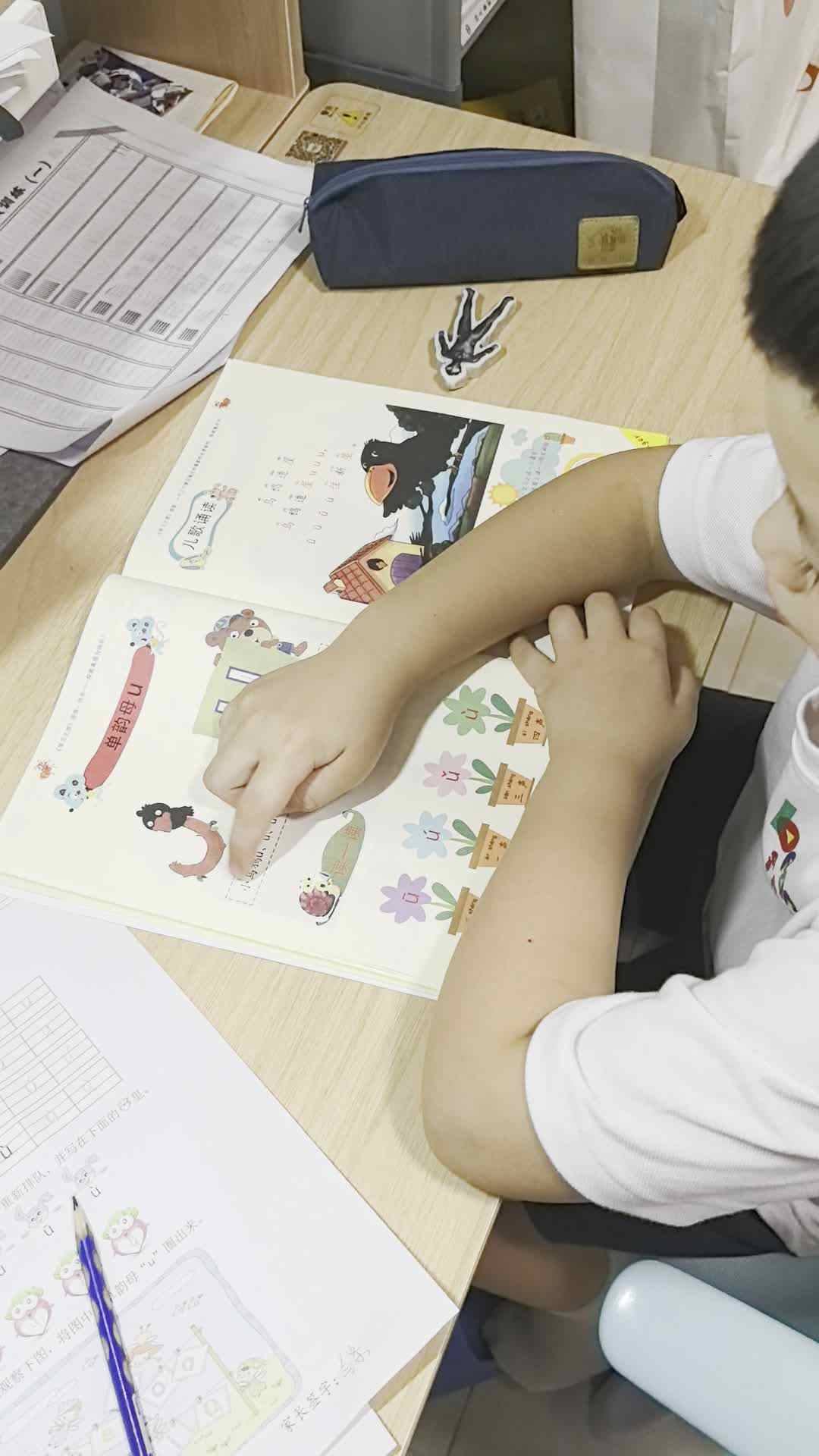 VID_20240929_182753.mp4