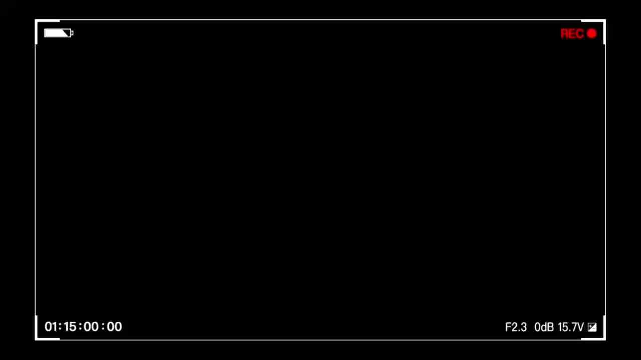 ?这里是金豆子幼稚园，定义幼儿教育新高度！