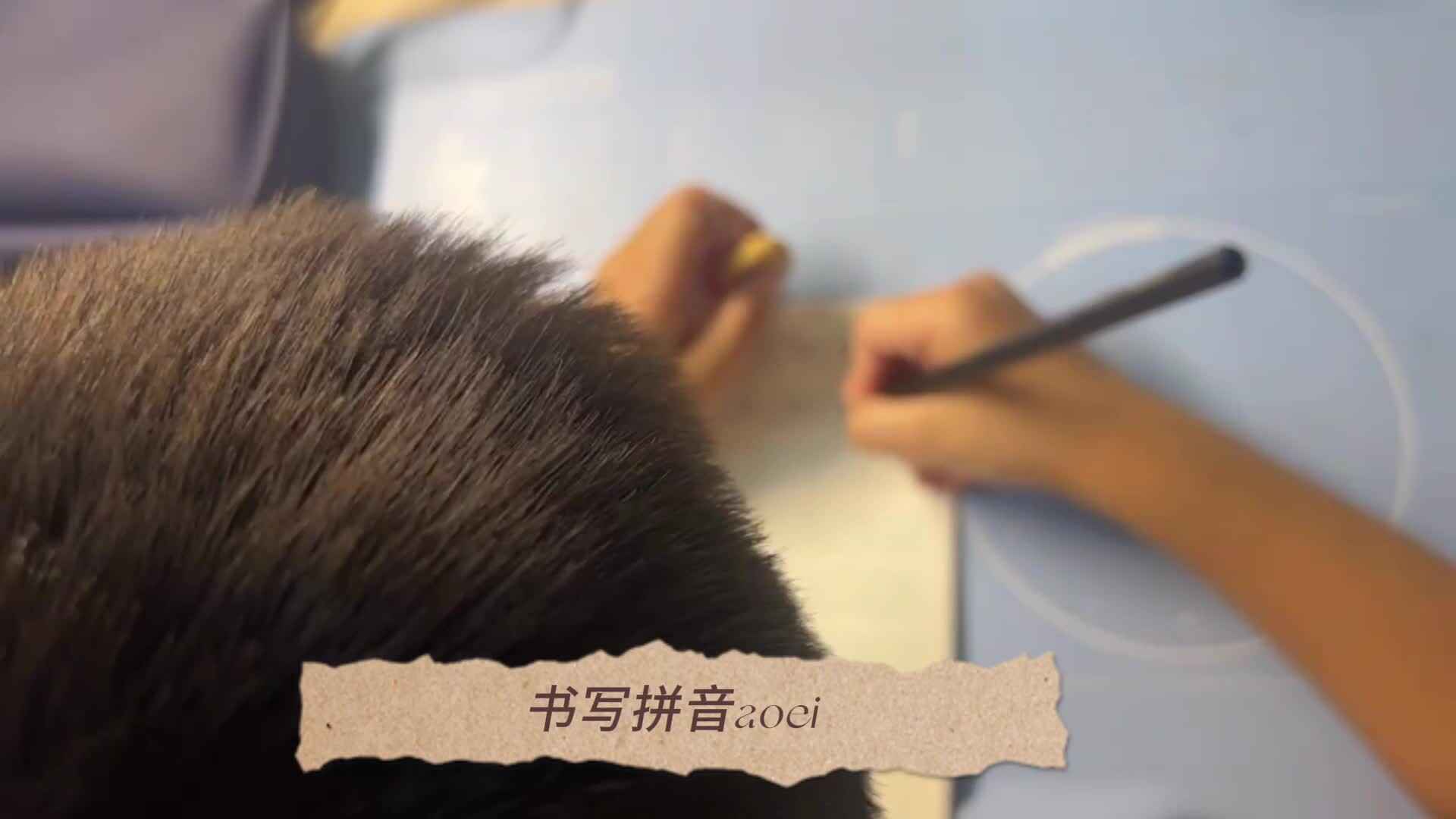 2024.9.28日张睦晨完成拼写书写和闯关游戏单