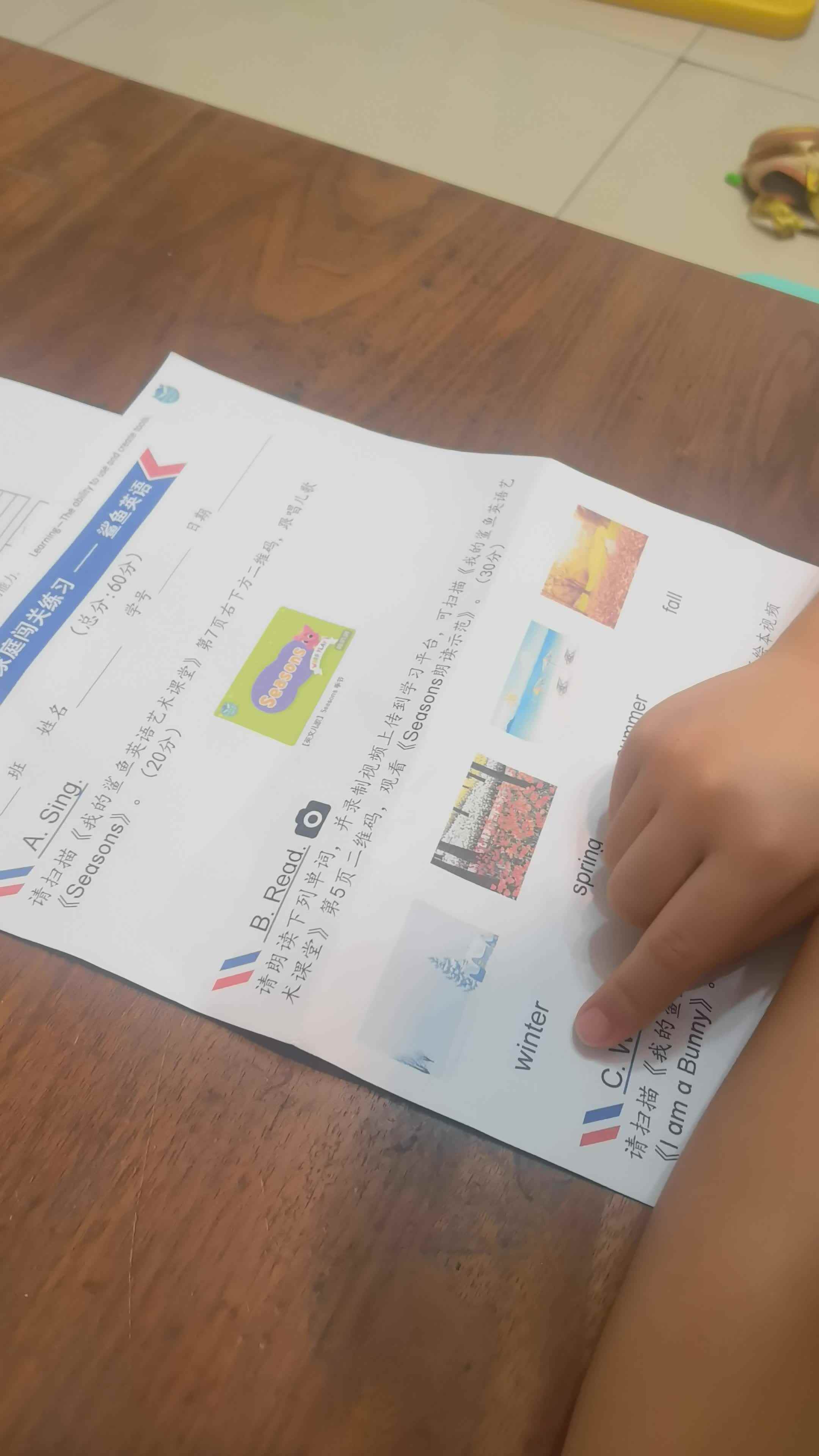 VID_20240925_195334.mp4