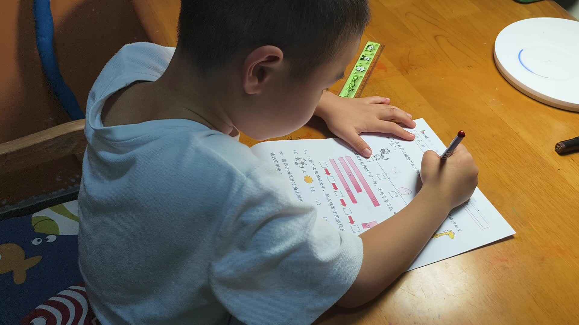 video_20240929_185845.mp4