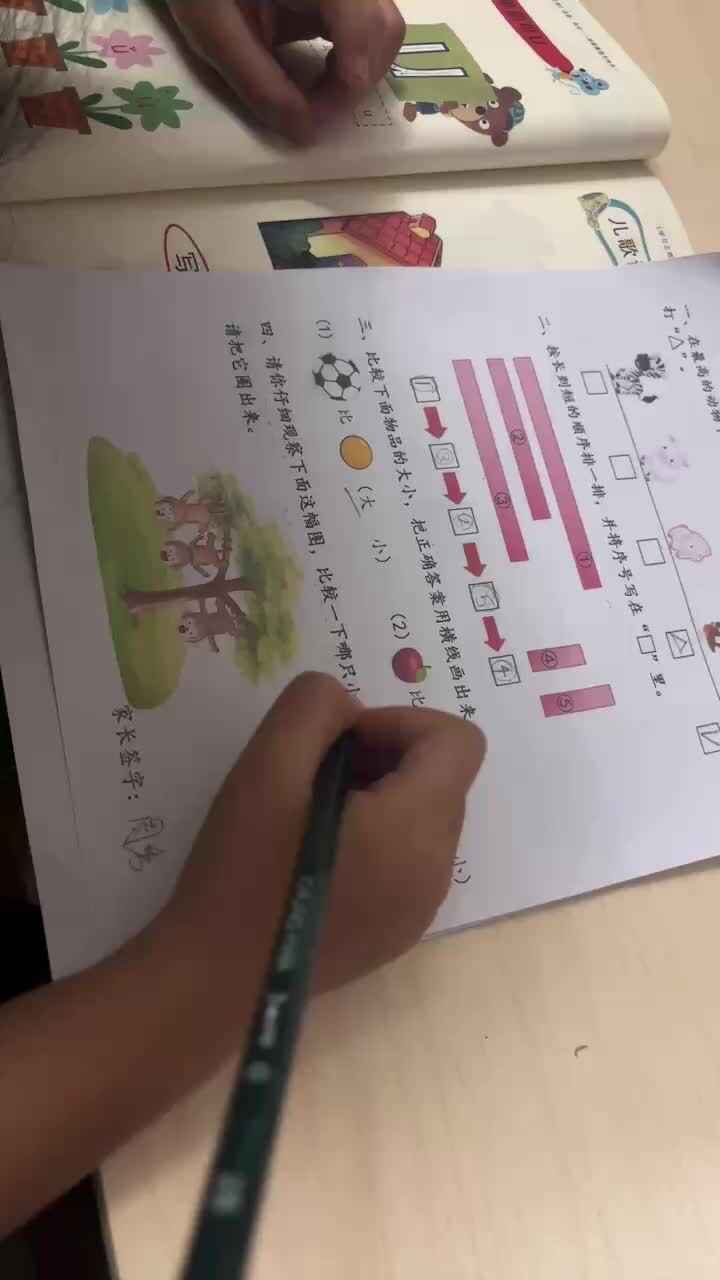 mmexport1727615372869.mp4