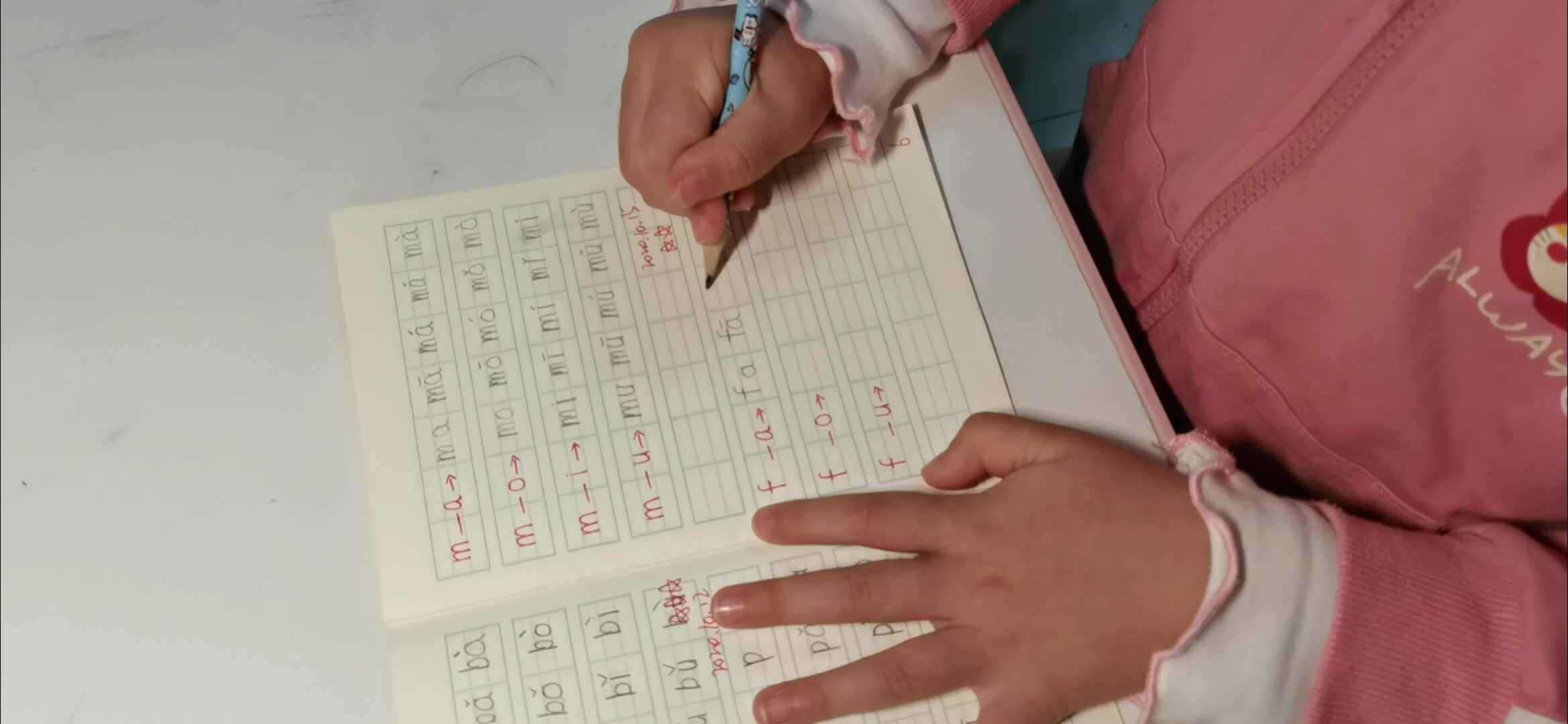 d的拼音节的书写.mp4