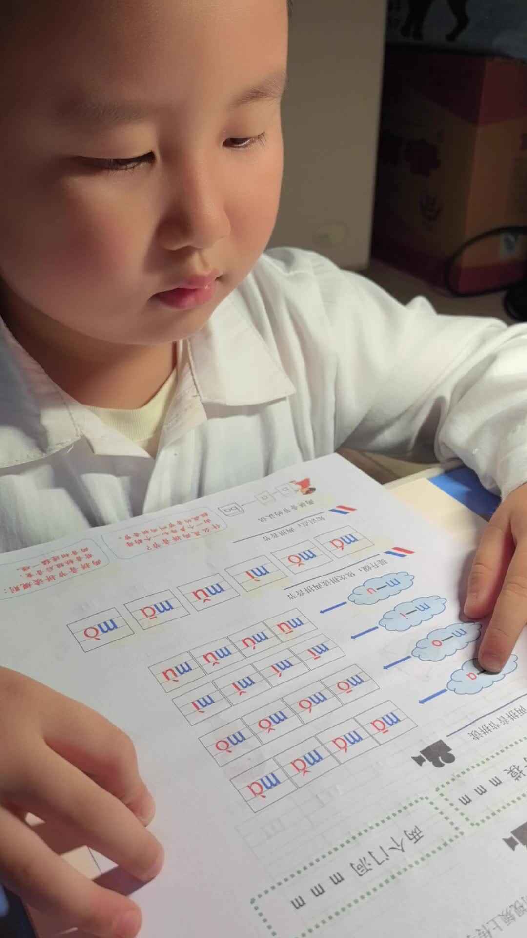 VID_20241011_191536.mp4