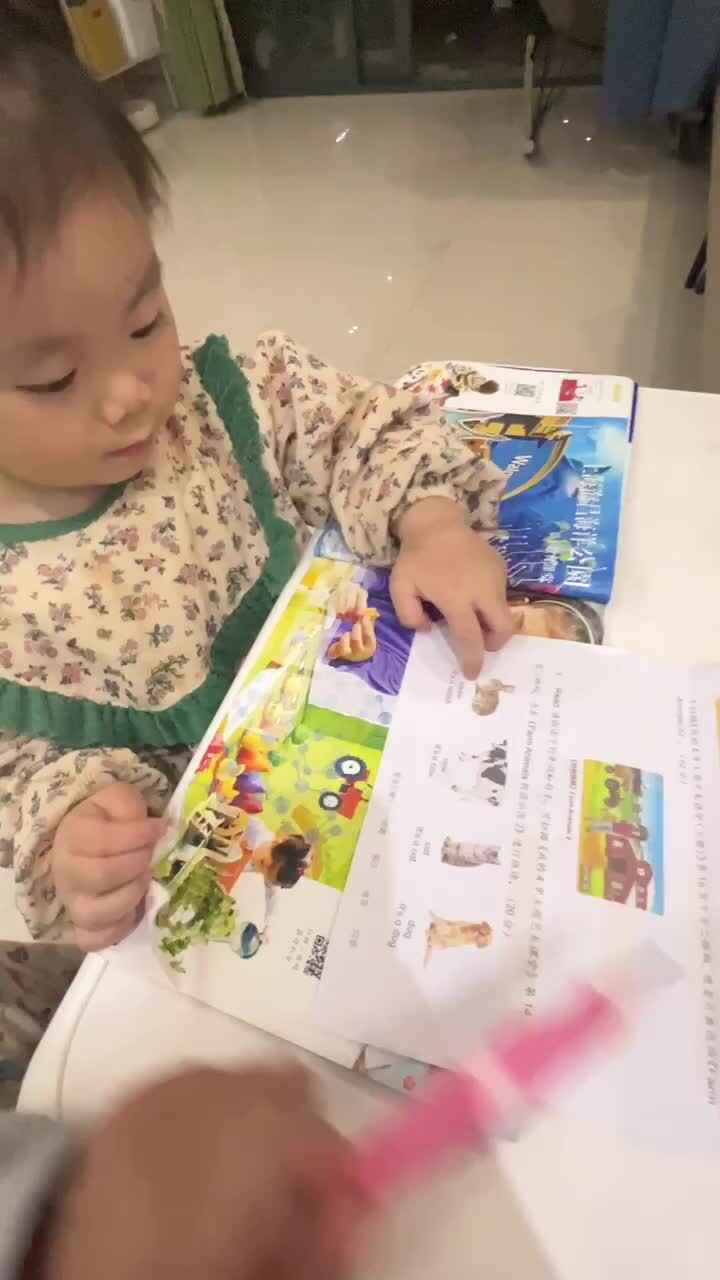 指读动物单词