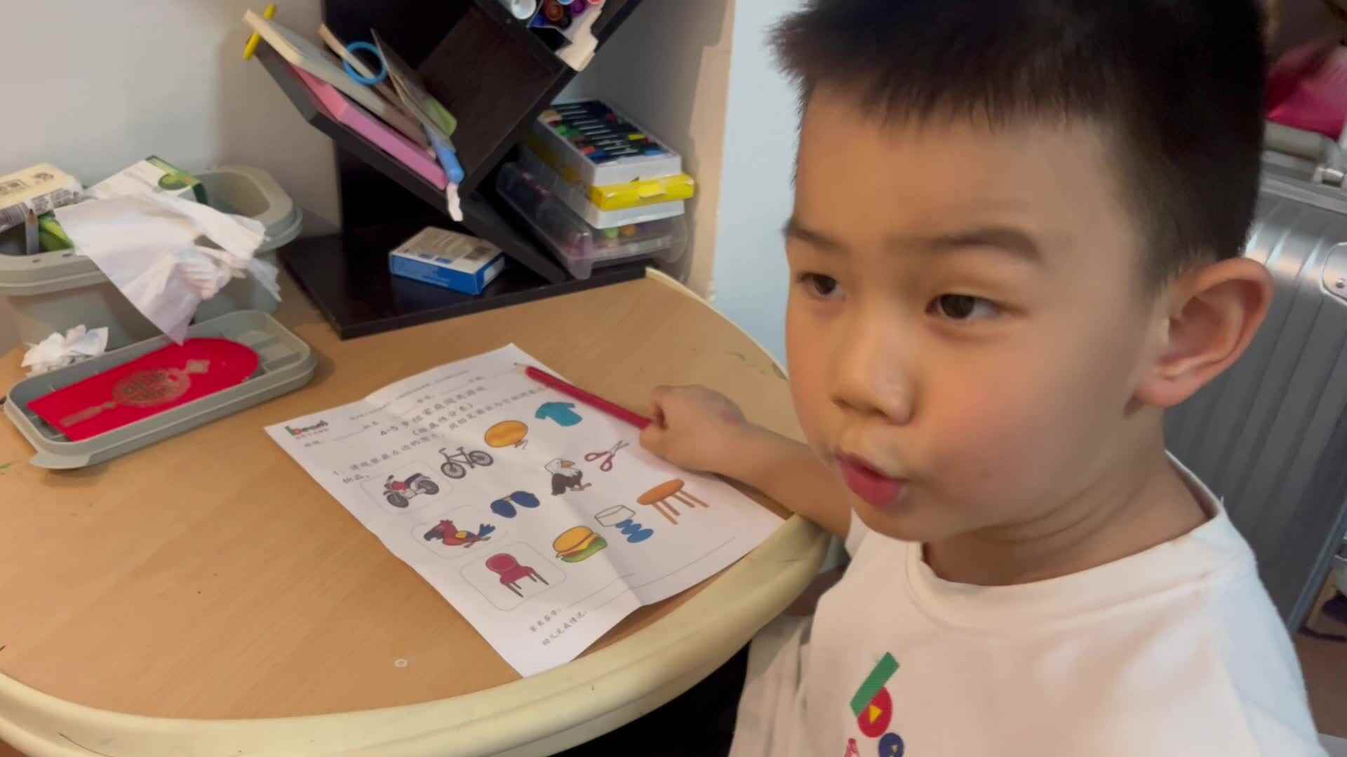 10.16家庭闯关练习-按物品分类