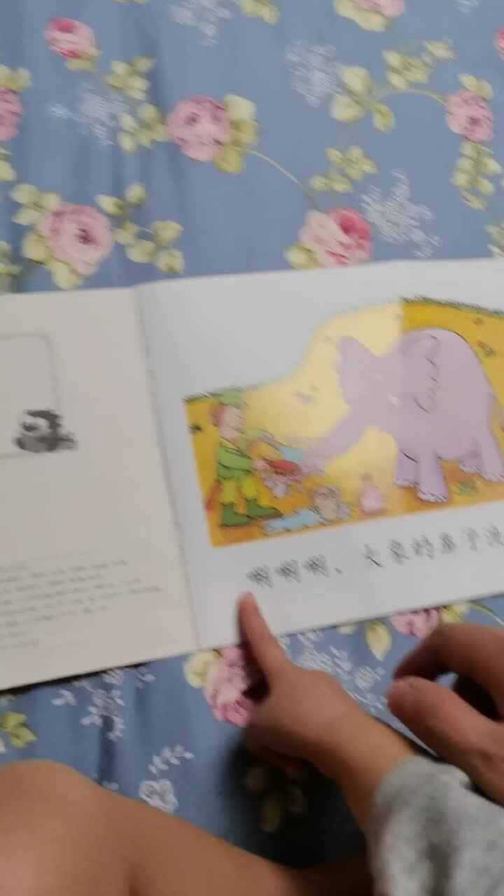 实验小班伊伊.mp4