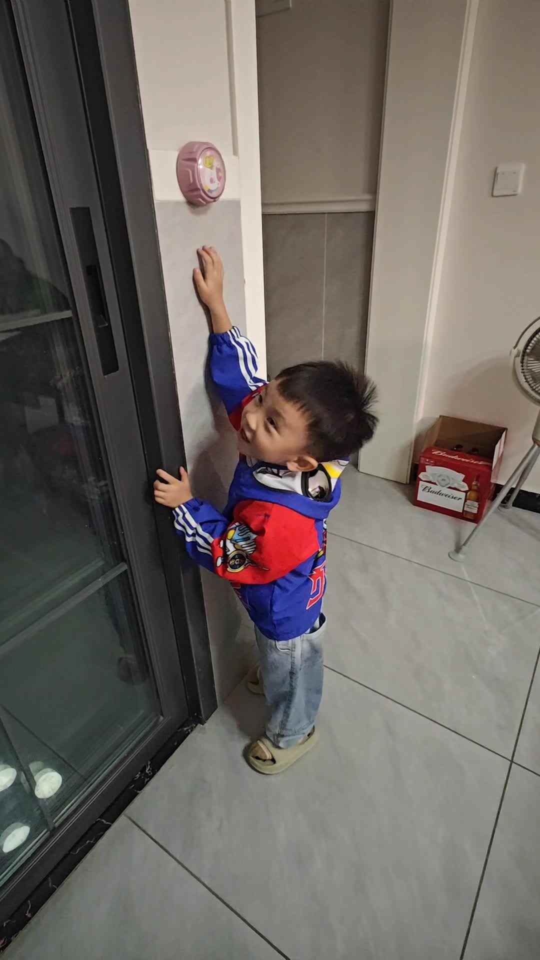 大 A 班罗振东摸高跳.mp4