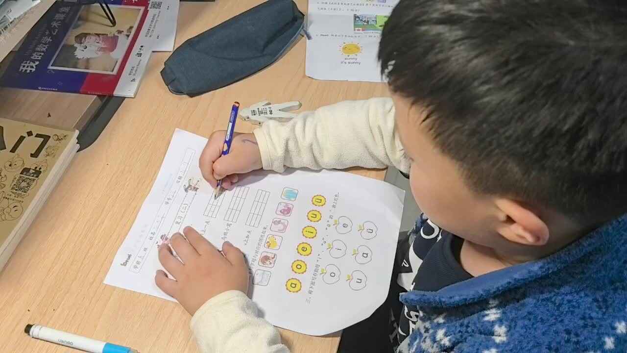 lv_0_20241009235605.mp4