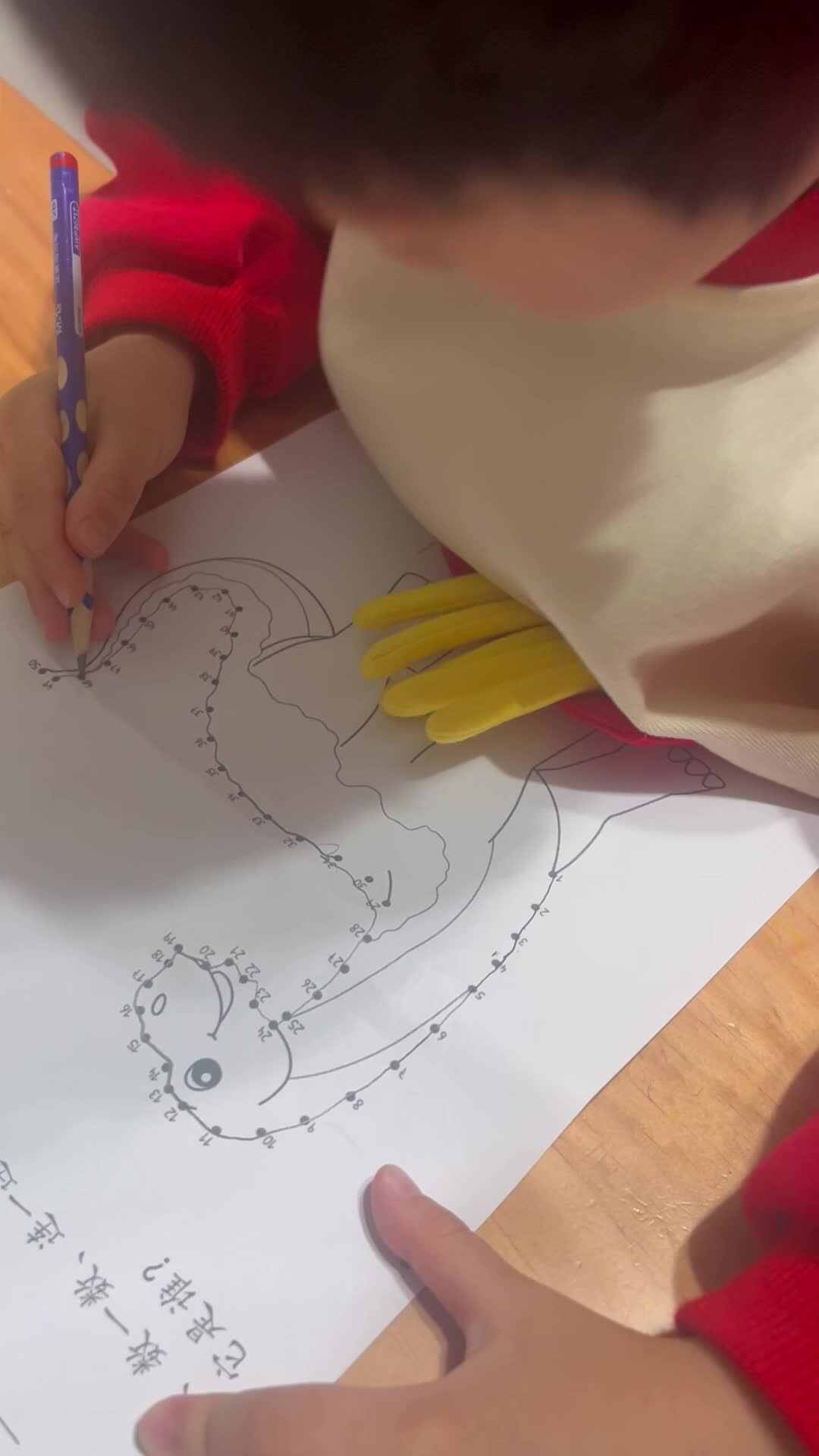 作业单