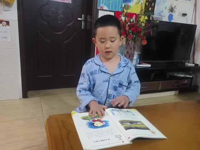 20241010大B班赵芃栎指读一东天对地雨对风