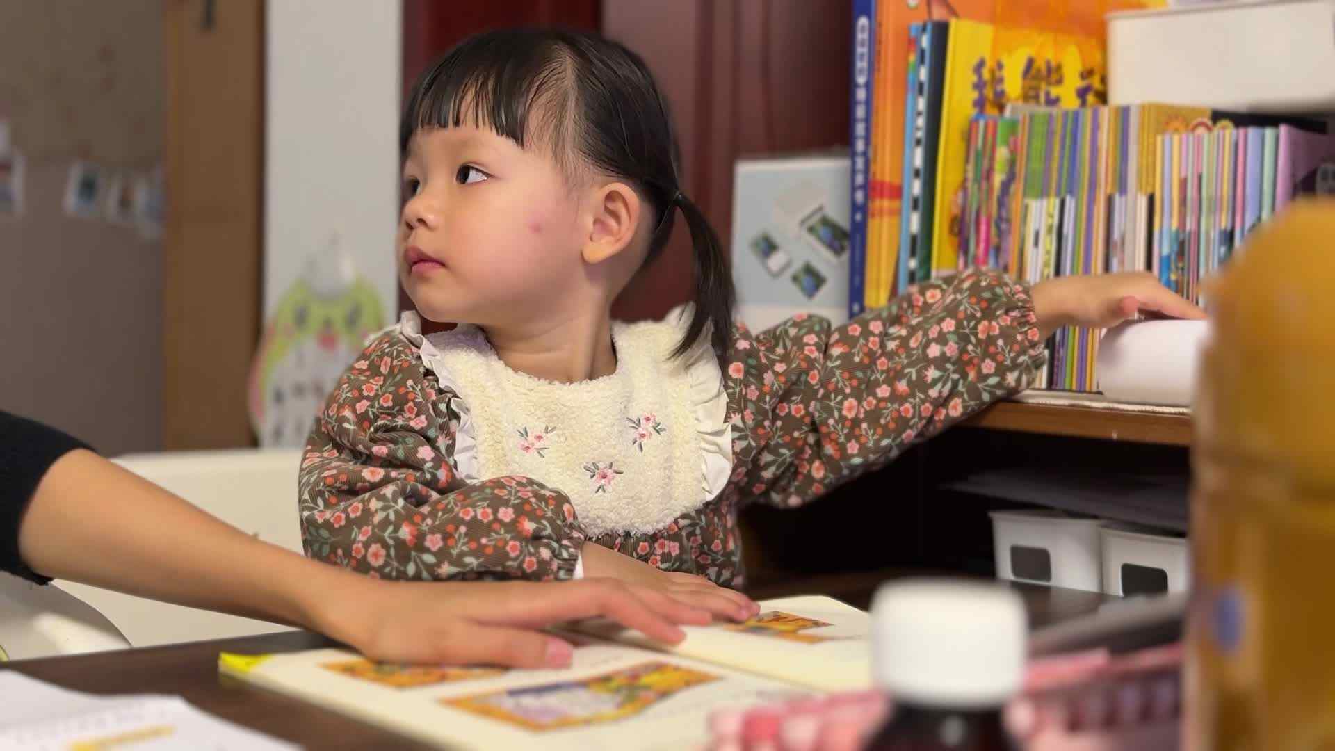 2024.10.20 大象洗澡