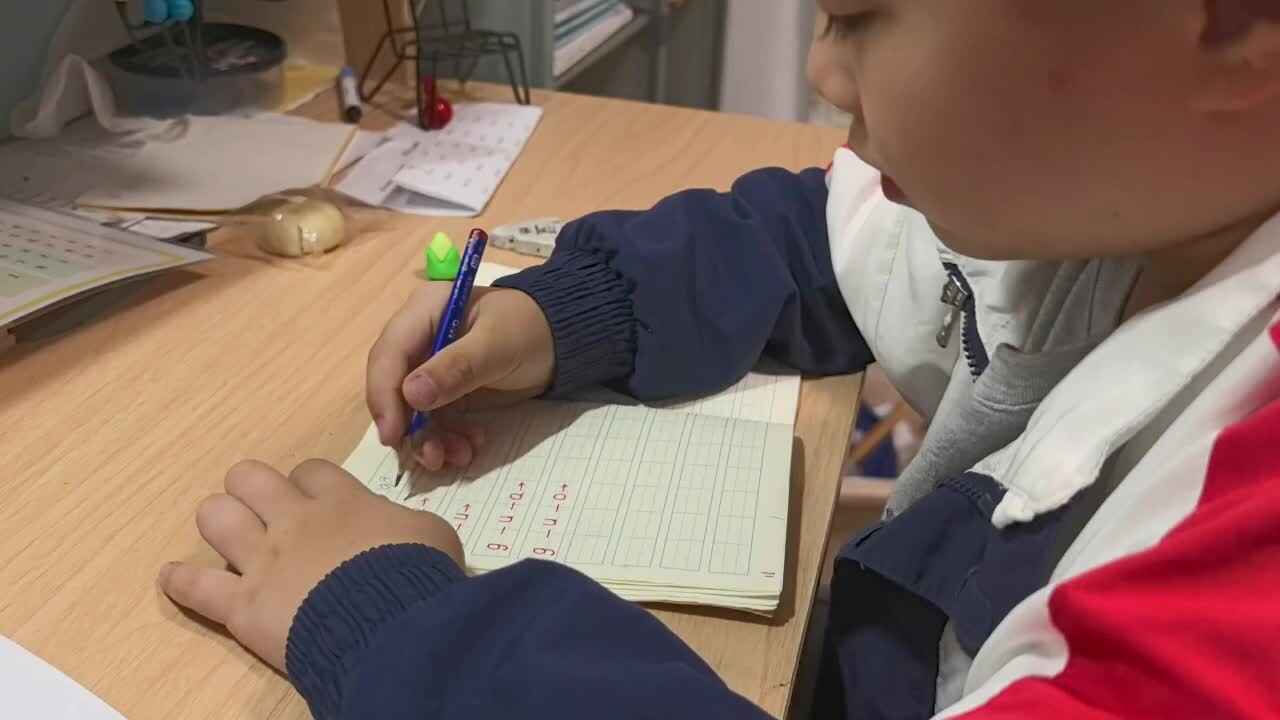 学A班兰梓瀚拼音书写.mp4