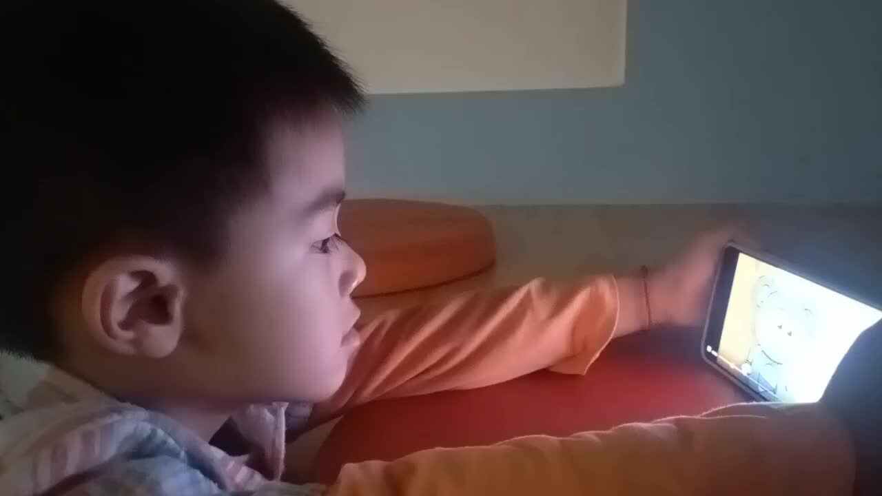 大b班刘倬宇Earth Is Our Home.mp4