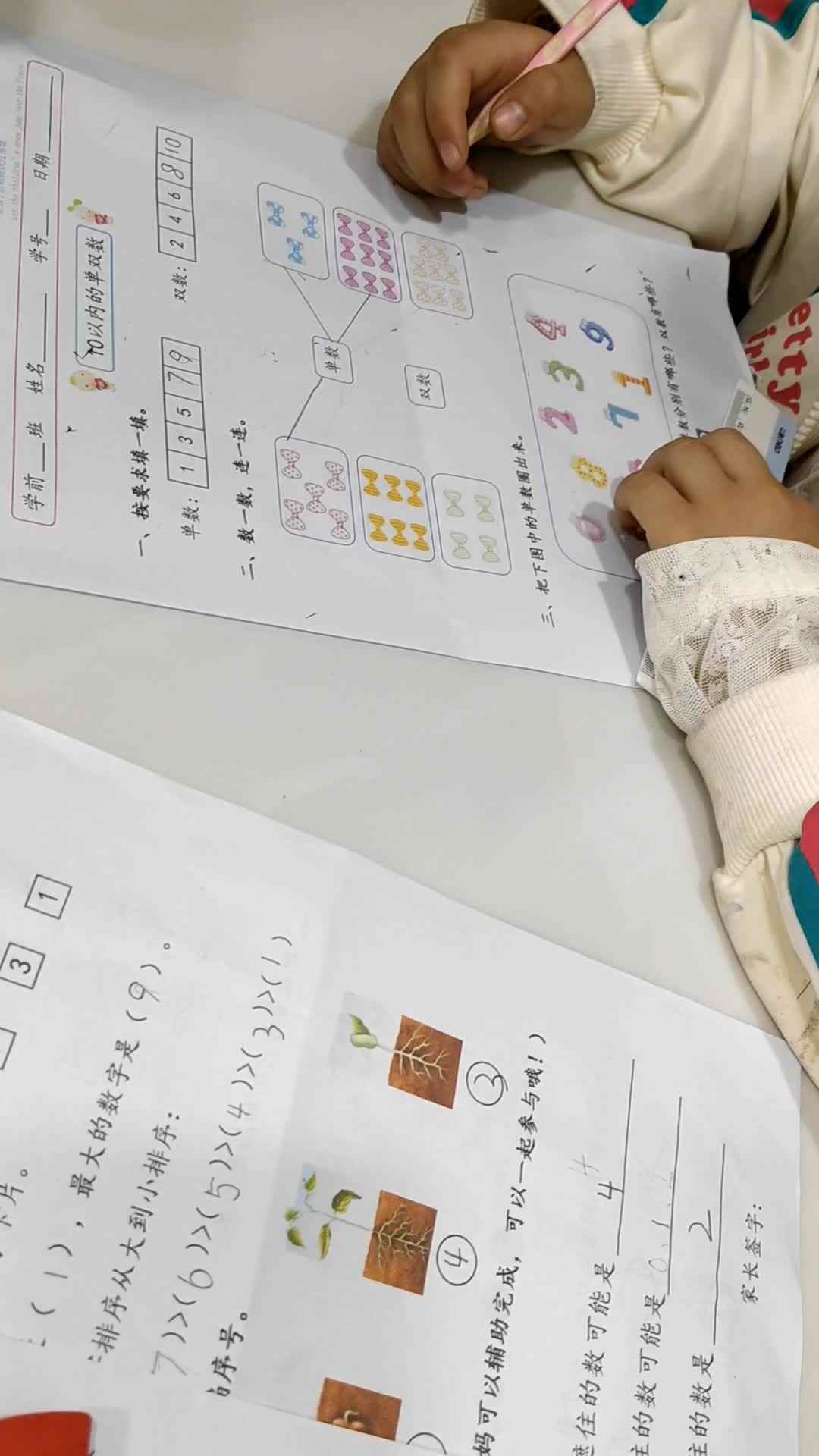 video_20241009_210237_edit.mp4