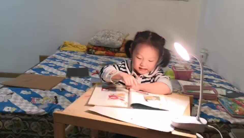 大A班李莹莹 分享《愤怒的小鸡》mp4