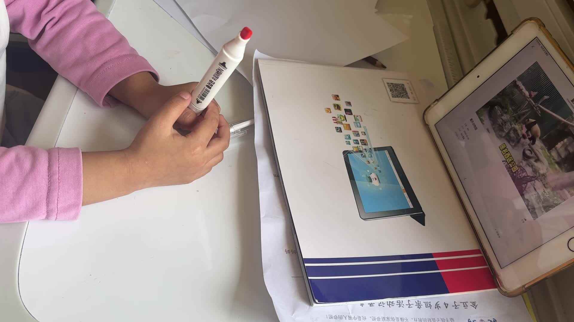 观看动物园视频