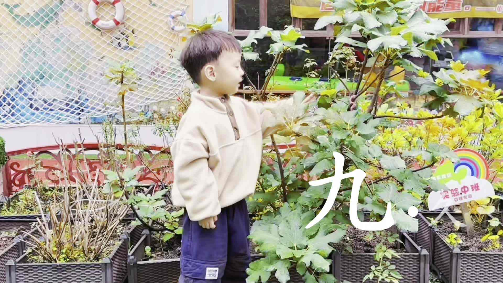 重阳节微电影《九九重阳节》