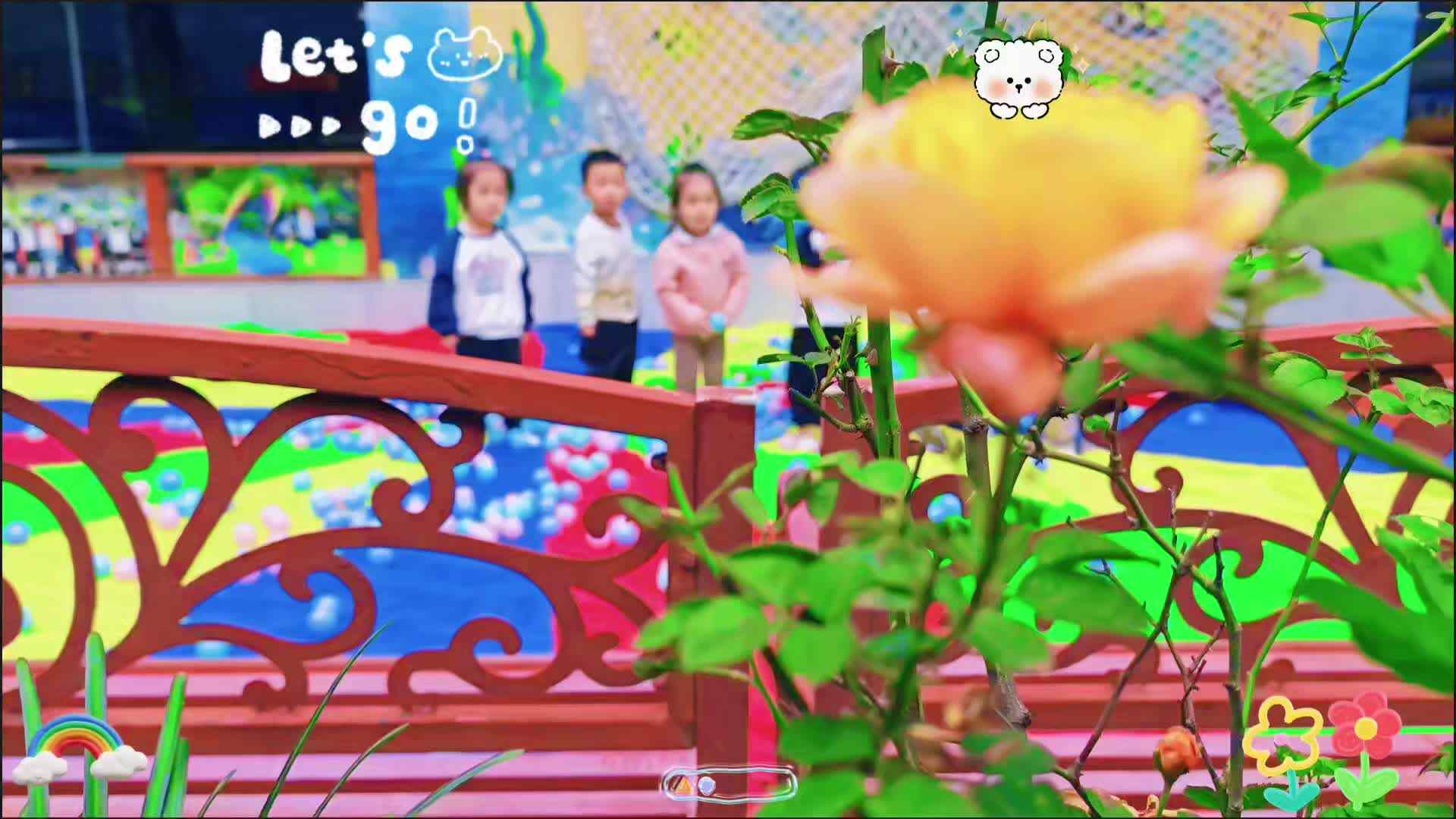 小可爱们的户外日常
