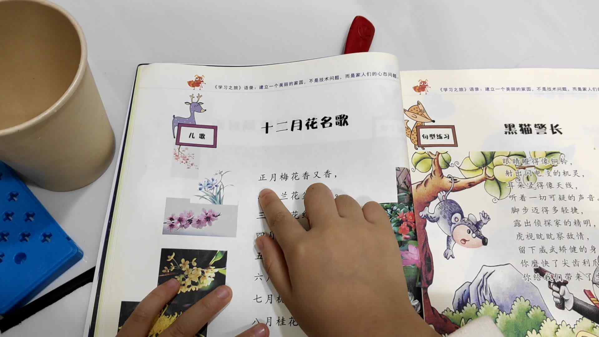 10.17大B班李一乐十二月花名歌指读