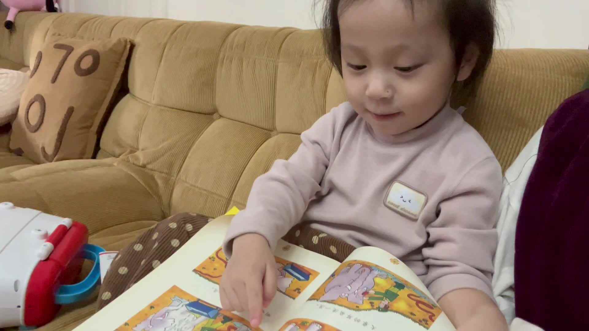 20241014指读大象洗澡