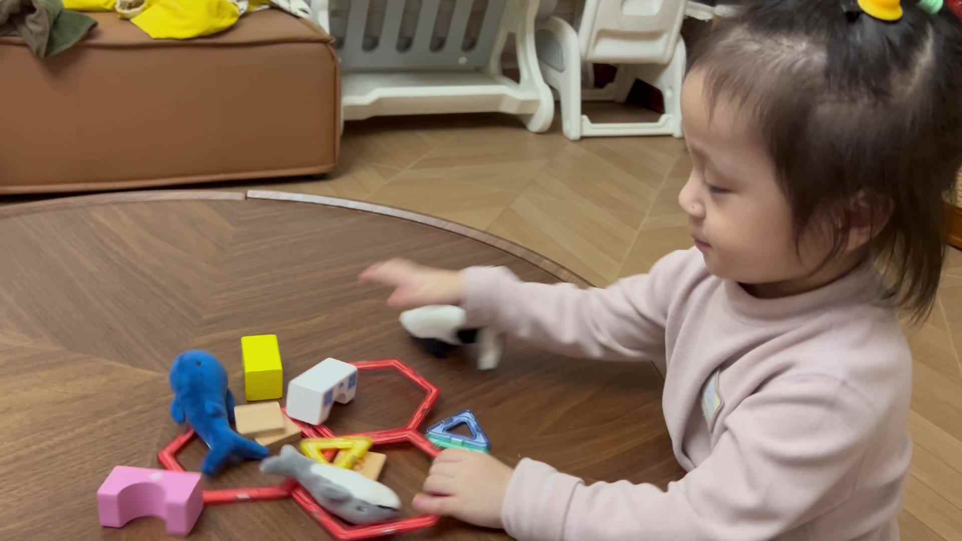 20241014玩具按大小分类