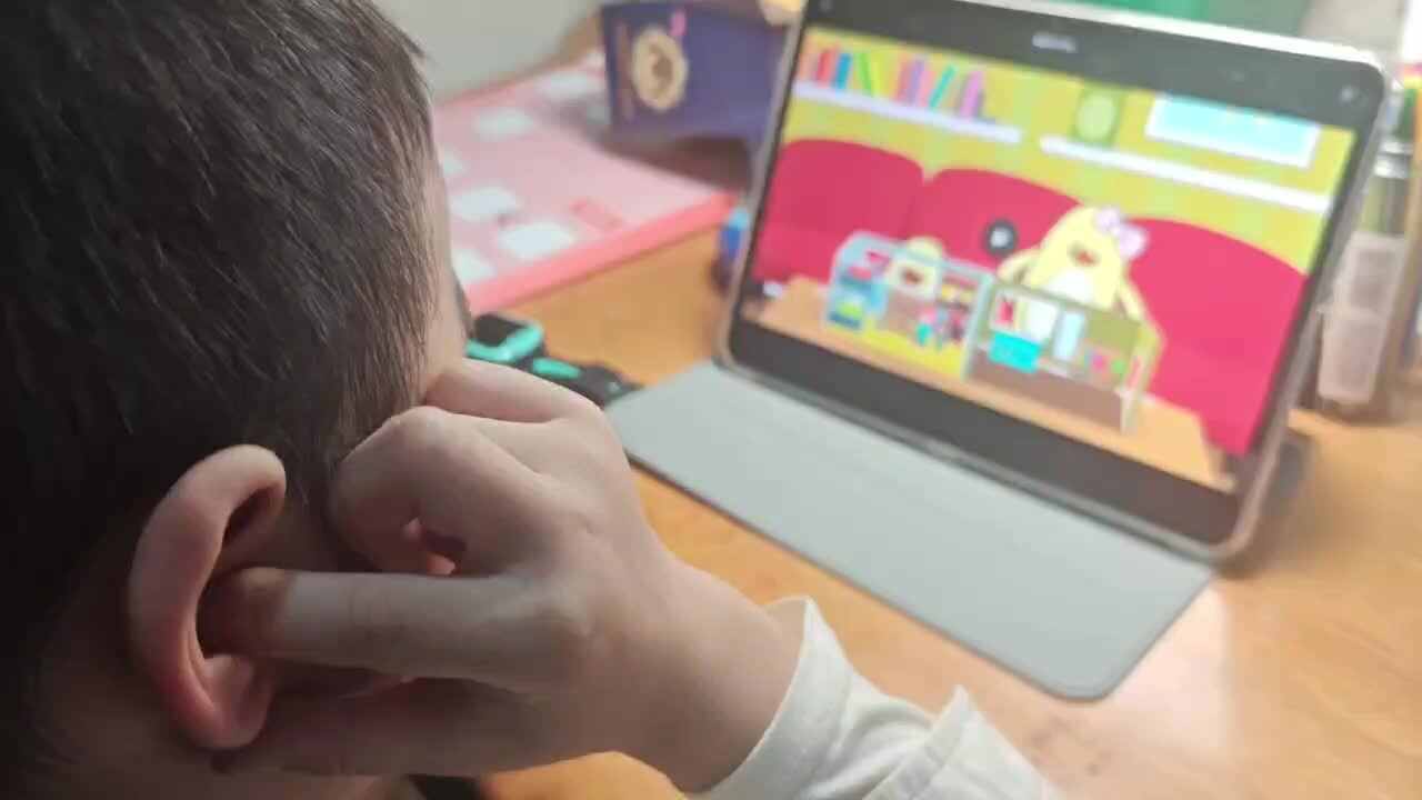 mmexport1729083079074.mp4