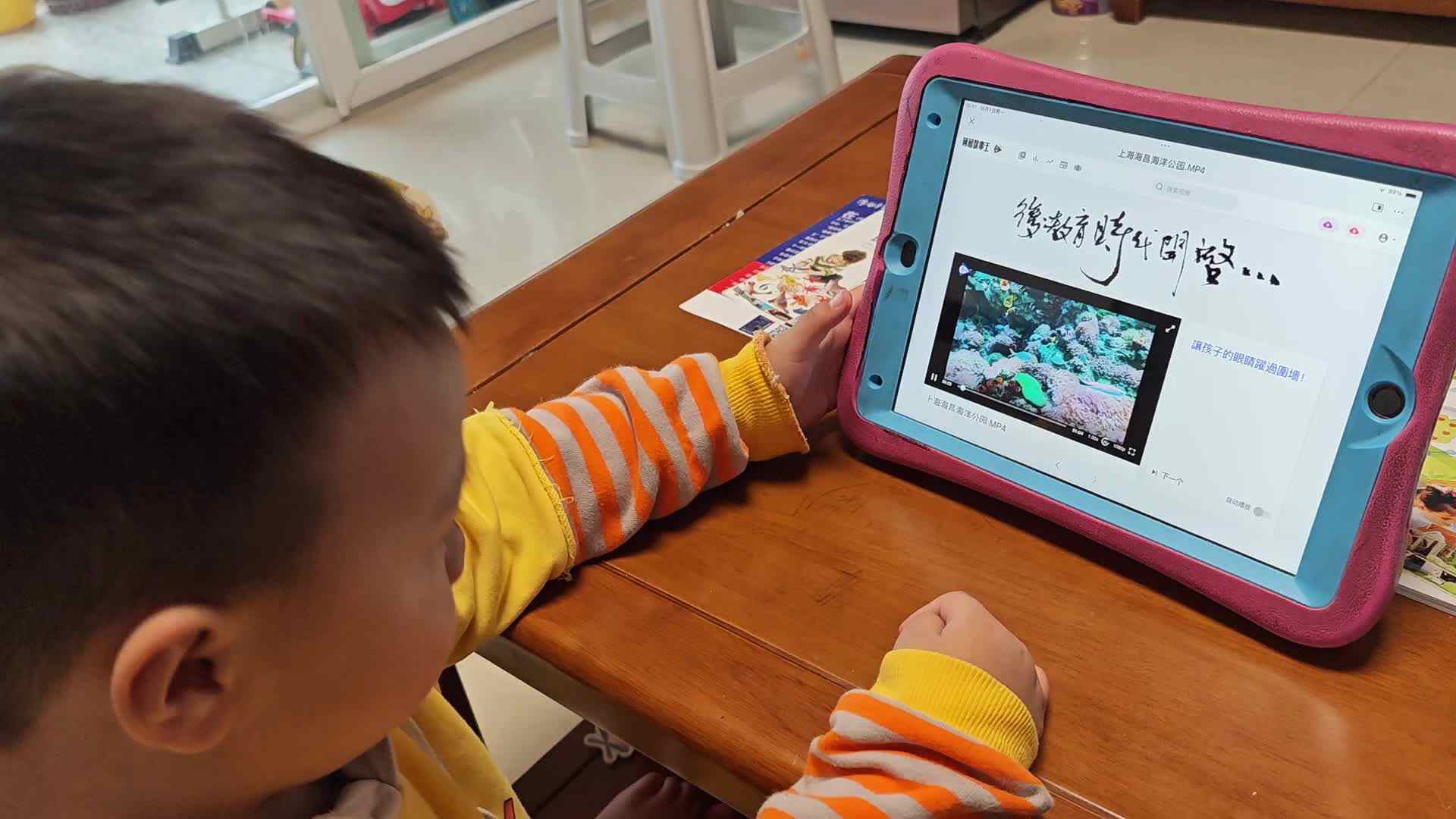 10.1中A班徐浚源观看《上海海昌海洋公园》