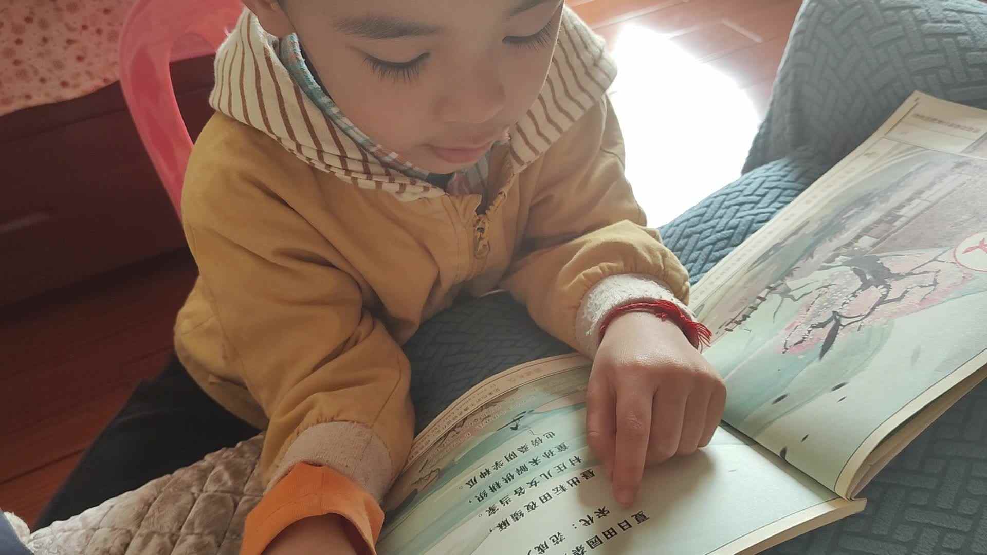 大b班刘倬宇指读夏日田园杂兴VID_20241013_095448.mp4