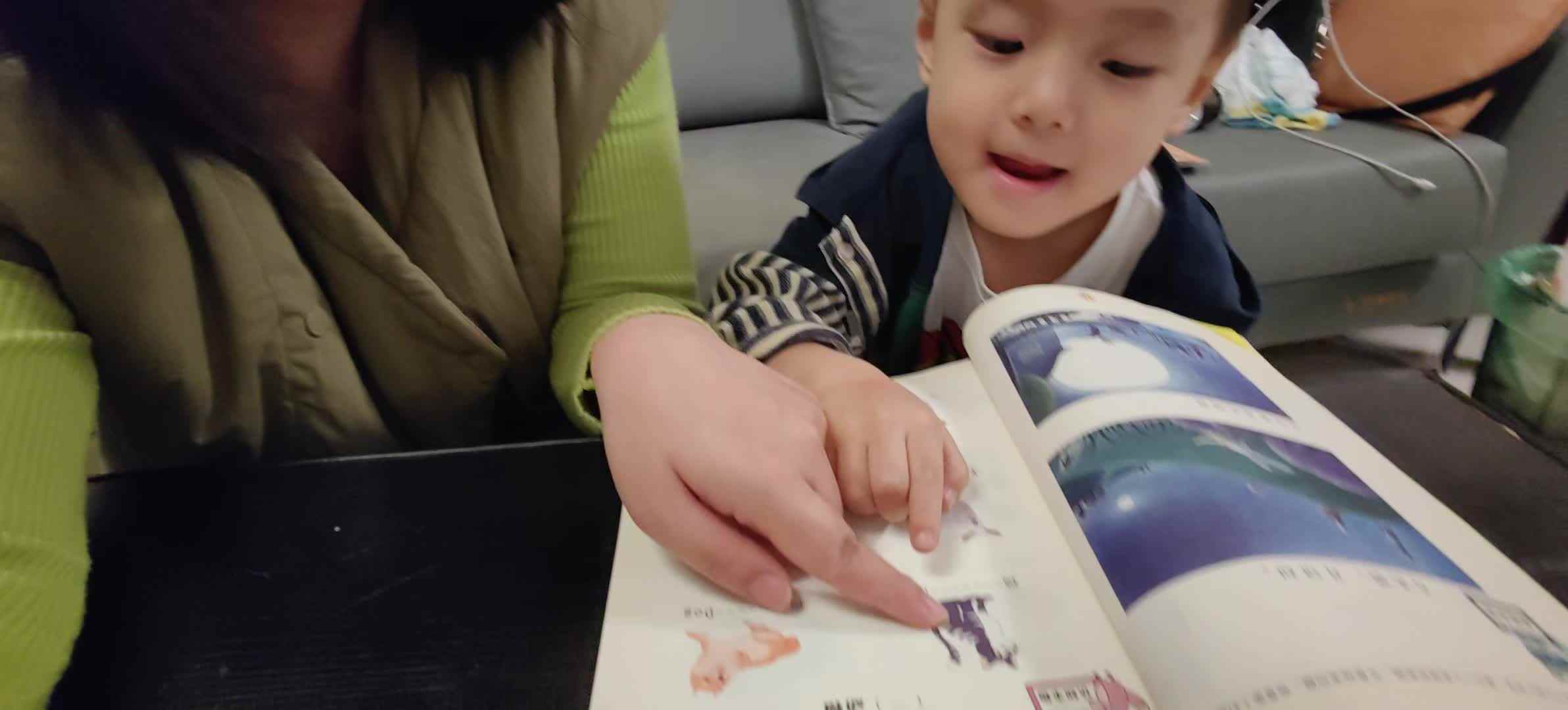 2024.10.27动物植物刘逸一.mp4