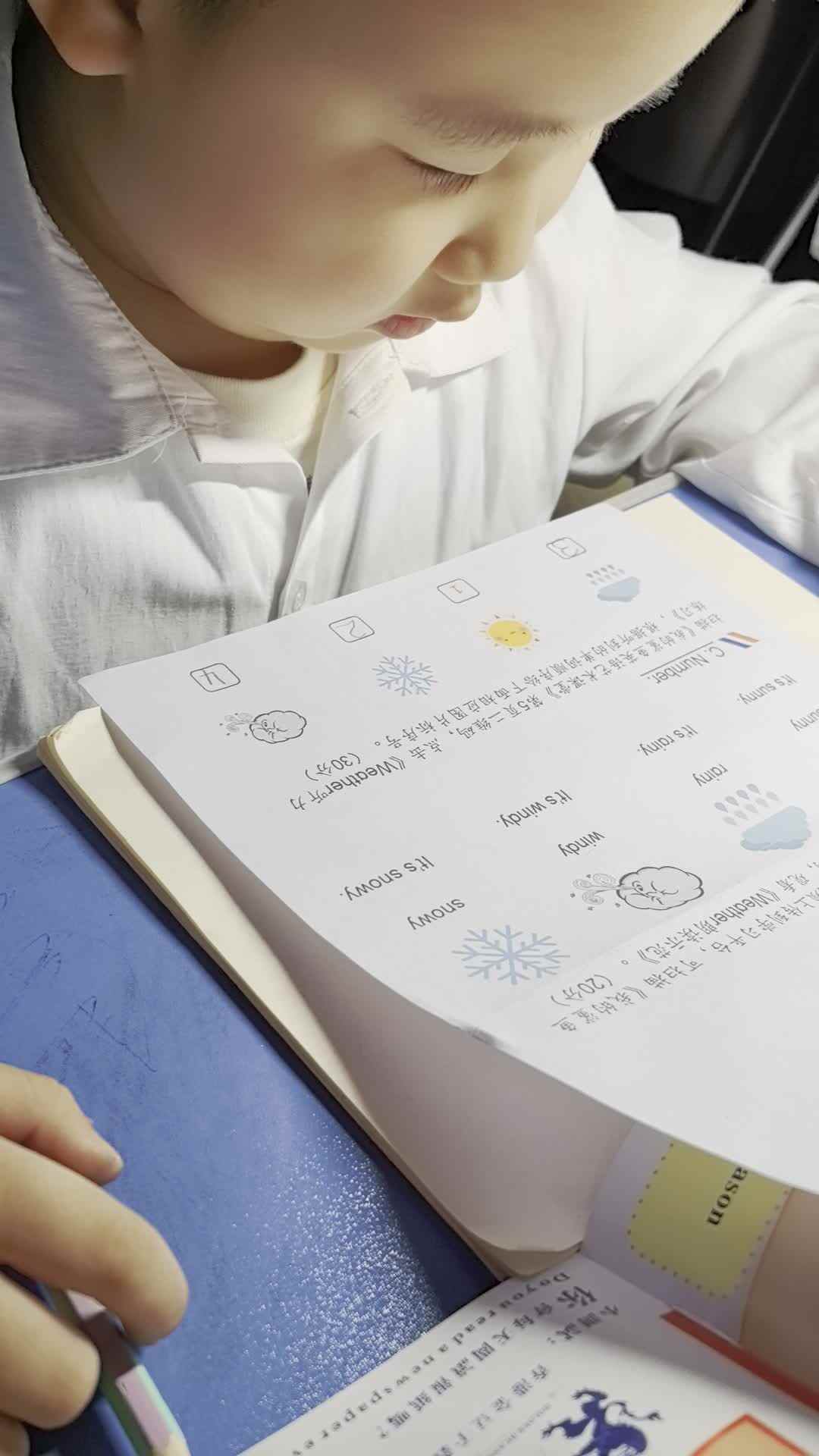 VID_20241011_192716.mp4