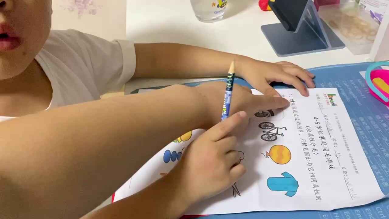 大B班吕子垚逻辑思维练习（按物品属性分类）20241016.MOV