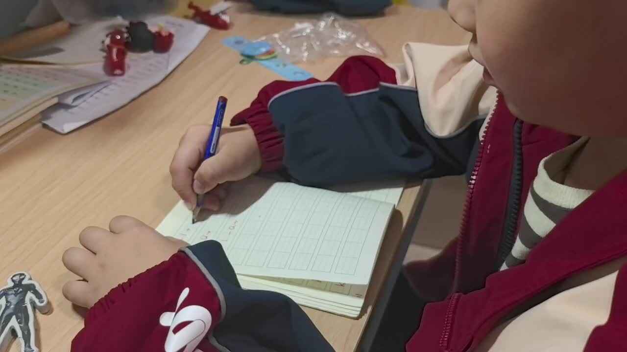 学A班兰梓瀚拼音书写.mp4