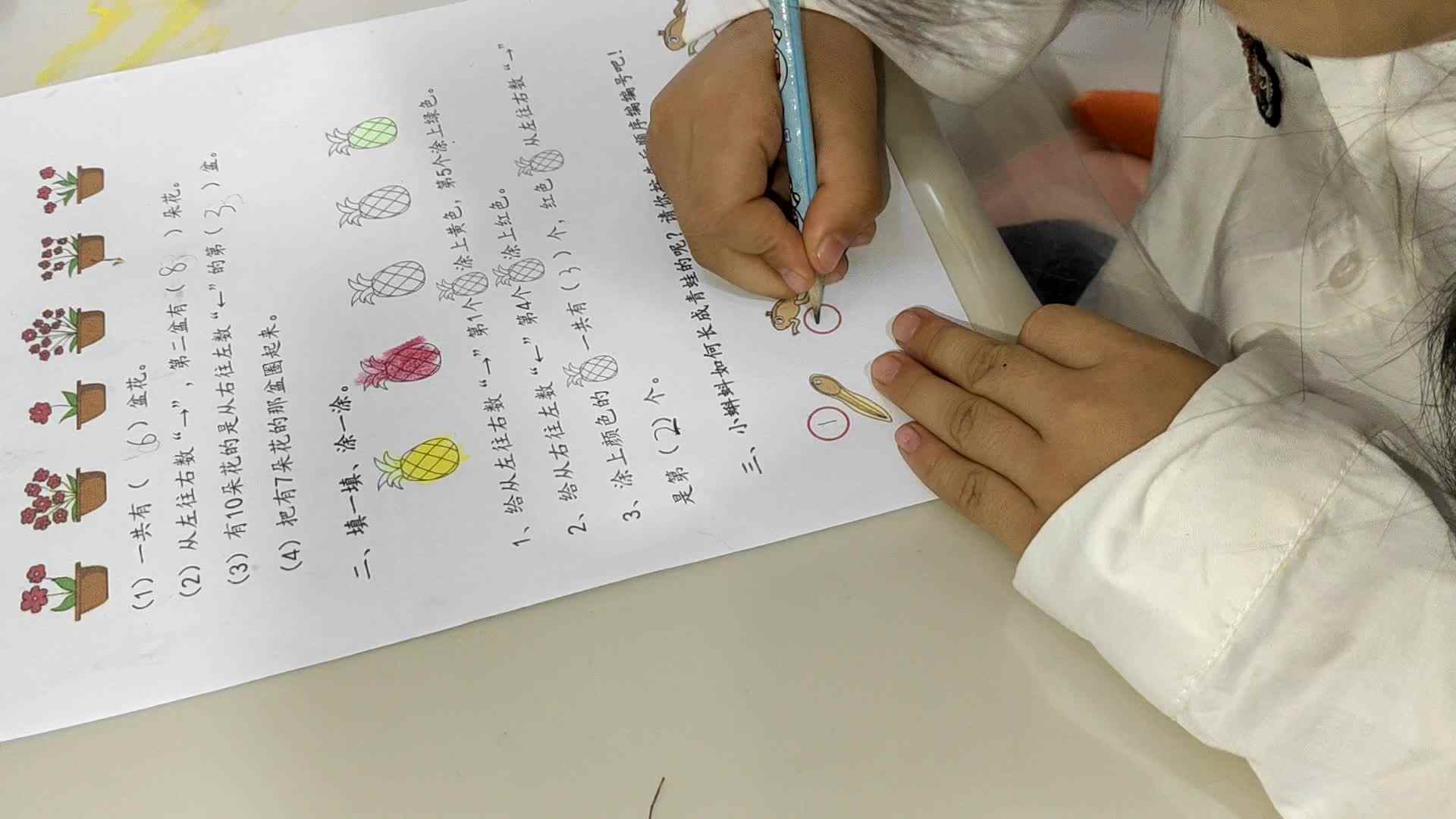 video_20241010_180747.mp4