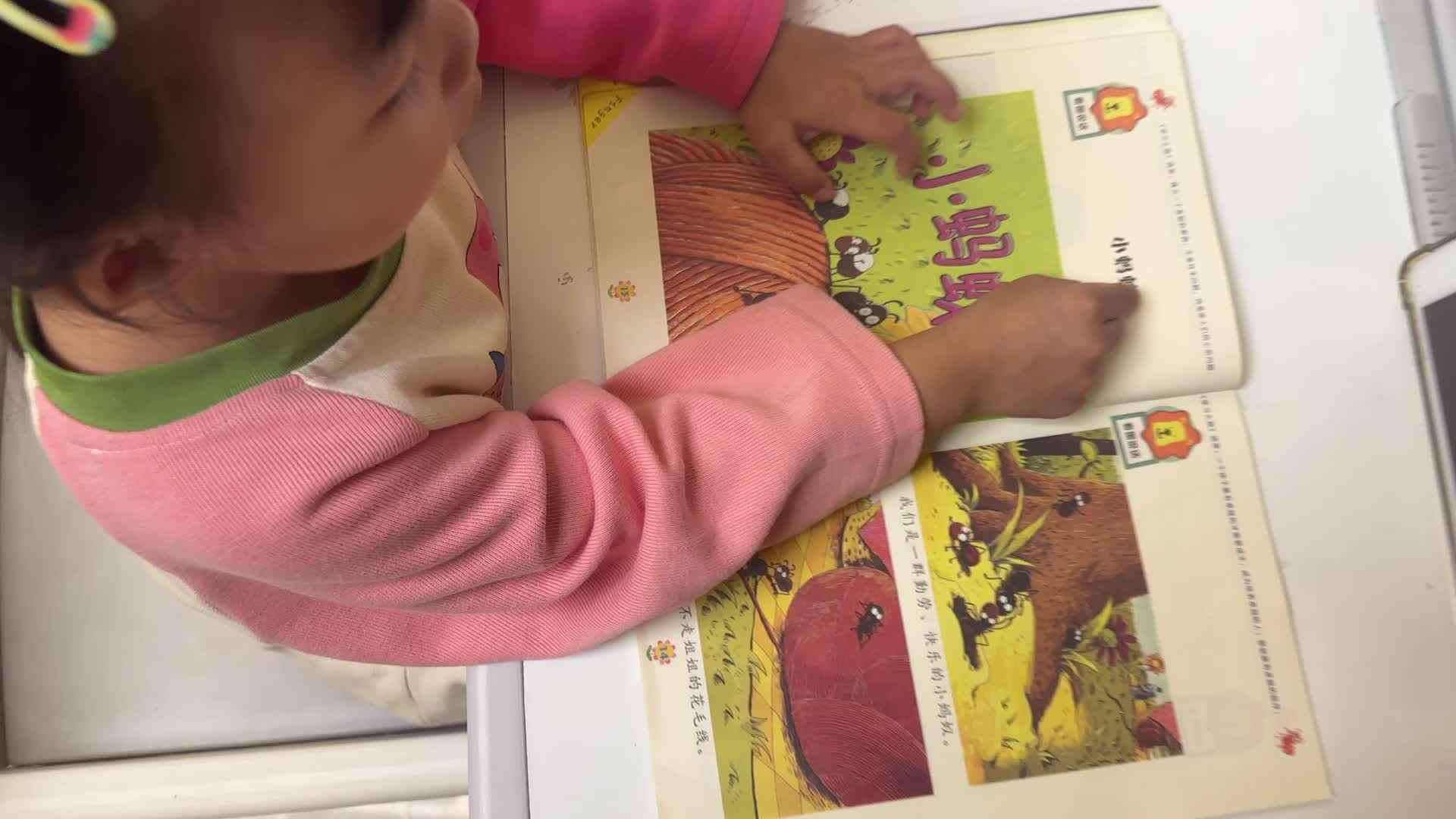 小蚂蚁