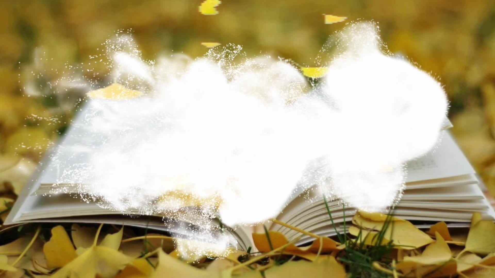 让我们一起在书海中探索，为孩子的成长添上一笔智慧的底色